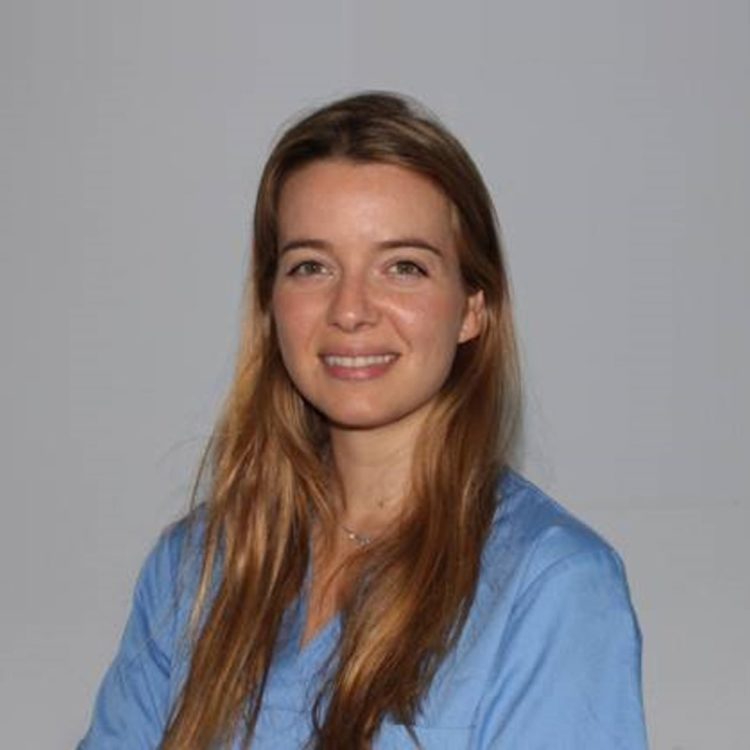 Equipo - Clínica dental Sevilla Equipo - Clínica dental en Sevilla
